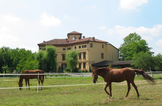 B&B Monvicino Oviglio Esterno foto